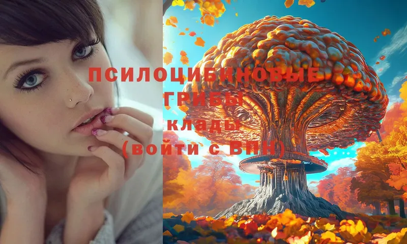 Галлюциногенные грибы Magic Shrooms Лодейное Поле